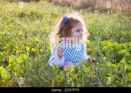 Beautiful blonde girl with curly hair sat in a green field holding flowers in her hand with the sun shining Stock Photo