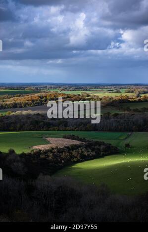 Dramatic autumn sunlight falls across the rolling Hampshire countryside, typical of the South Downs national park in England. View from Old Winchester Stock Photo