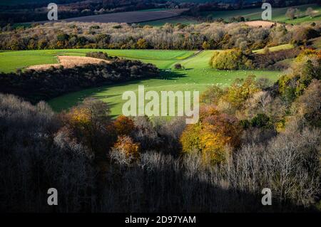 Dramatic autumn sunlight falls across the rolling Hampshire countryside, typical of the South Downs national park in England. View from Old Winchester Stock Photo