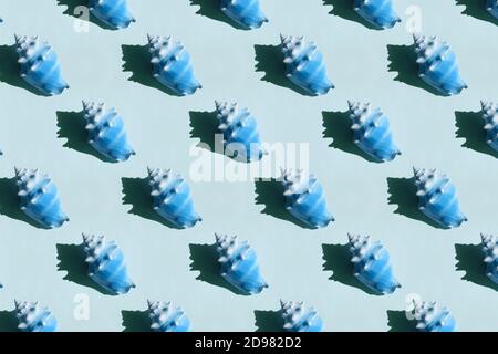 Seashell pattern on blue background. Stock Photo