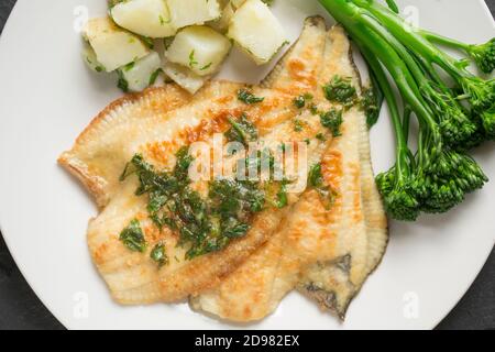 Two cooked plaice fillets from a plaice, Pleuronectes platessa, that was caught in the English Channel. They have been dipped in flour and fried and s Stock Photo