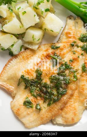 Two cooked plaice fillets from a plaice, Pleuronectes platessa, that was caught in the English Channel. They have been dipped in flour and fried and s Stock Photo