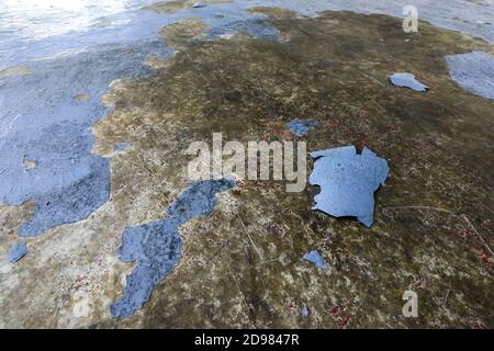 Epoxy flooring coat tearing off due to quality issue. Stock Photo