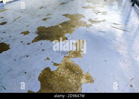 Epoxy flooring coat tearing off due to quality issue. Stock Photo