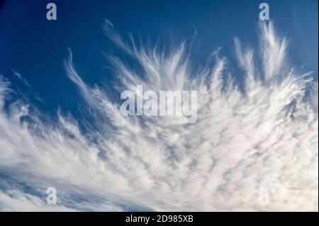 frayed cirrus clouds on deep blue sky Stock Photo