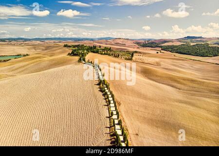 Golden field of Tuscany Italy. Road lined with Tuscan cypress trees. Aerial view. Stock Photo