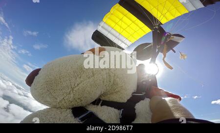 Skydiving Teddy Bear extreme sports Stock Photo