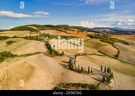 Summer landscape with winding road and golden crop fields near Pienza Tuscany Italy. Wide shot. Stock Photo