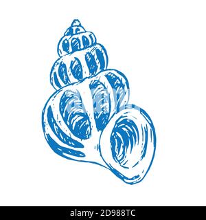 Seashell isolated, hand drawn doodle sketch in woodcut style, illustration Stock Photo