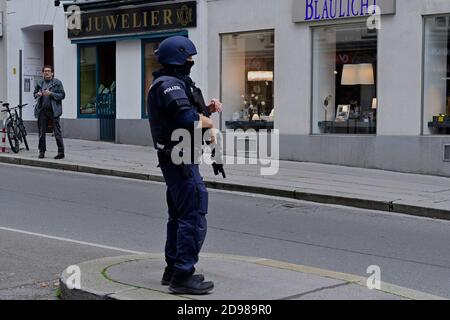 Vienna, Austria. 03rd Nov, 2020. Terrorist attack in Vienna on October 2nd, 2020. The first district of Vienna is still cordoned off. So far there have been 4 dead and 15, some seriously injured.