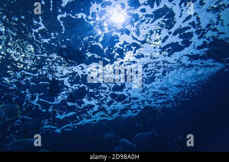 abstarct view of water surface with spume and light coming through it Stock Photo