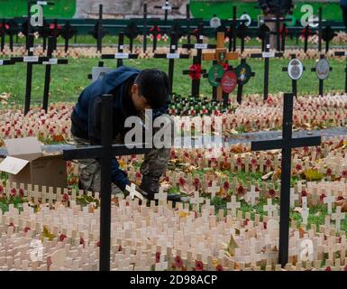 London, UK. 3rd Nov, 2020. Westminster Abbey Field of Remembrance in preparation. The Field of Remembrance is a memorial garden organised annually by the Poppy Factory in Westminster, London. For eight days, from the morning of the Thursday before Remembrance Sunday until the evening of following Thursday, the lawn of St Margaret's Church, Westminster, between Westminster Abbey and the Houses of Parliament, is marked out with 250 plots for regimental and armed services associations Credit: Ian Davidson/Alamy Live News Stock Photo