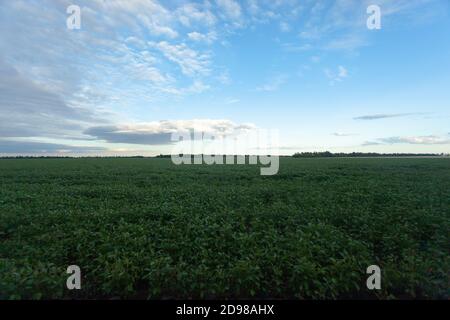 blue it with white clouds over the green field Stock Photo