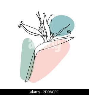 Flower isolated on white in a linear style. Stock Vector
