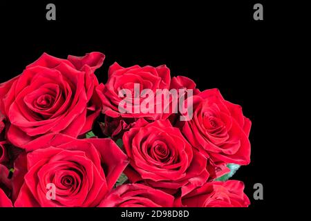 Red roses isolated on black background. Romantic bouquet of flowers. Stock Photo