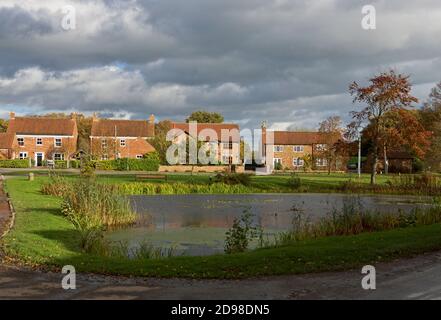 The Village Pond, Skipwith, North Yorkshire, England Uk Stock Photo - Alamy