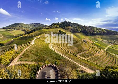 View from Schloss Ortenberg on vineyards and the Black Forest Ortenberg, Baden Wuerttemberg, Germany Stock Photo