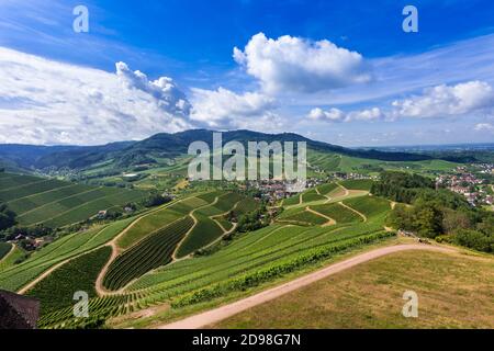 View from Staufenberg Castle to the Black Forest with grapevines near the village of Durbach in the Ortenau region Baden, Baden Wuerttemberg, Germany Stock Photo
