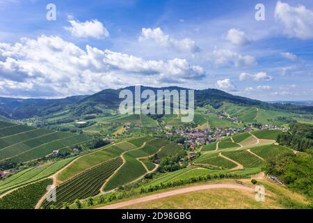 View from Staufenberg Castle to the Black Forest with grapevines near the village of Durbach in the Ortenau region Baden, Baden Wuerttemberg, Germany Stock Photo