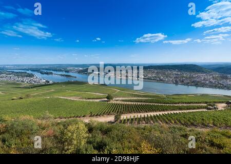View from the Niederwald Monument over vineyards to Rüdesheim and Bingen at the river Rhine. Hesse, Germany, Europe