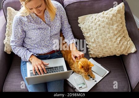 Overhead Shot Of Woman Working From Home On Laptop Sitting On Sofa During Lockdown Stroking Pet Cat Stock Photo