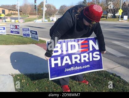 Bartlett, IL, USA. 3rd Nov, 2020. DuPage County Democratic Party Chair CYNTHIA BORBAS places a campaign sign in front of a polling place at the Bartlett Public Library on election day. According to reports, more than 100 million Americans had already voted early. Credit: H. Rick Bamman/ZUMA Wire/Alamy Live News Stock Photo