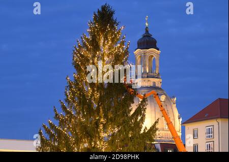 Dresden, Germany. 03rd Nov, 2020. A chain of lights is attached to a 120 year old and 37 meter high spruce tree on the Altmarkt in front of the Frauenkirche. The tree is intended to mark the first milestone of the 586th Striezelmarkt, which cannot take place as planned due to the partial lockdown in November. Credit: Sebastian Kahnert/dpa-Zentralbild/ZB/dpa/Alamy Live News Stock Photo