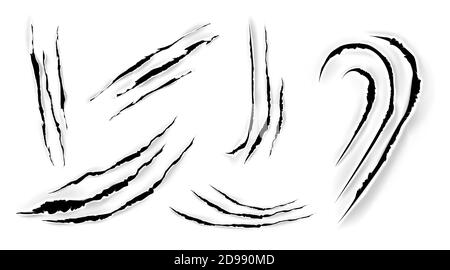 Cat claw scratches on paper. Black torn slashes from wild animal, tiger, bear or lion paws isolated on white background. Vector realistic sharp talons marks, trails and scrapes from monster nails Stock Vector