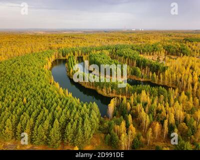Aerial view of beautiful natural landscape. Lake in pine autumn forest Stock Photo