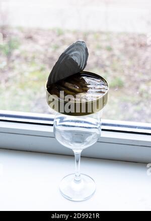 Opened tin of canned fish Stock Photo