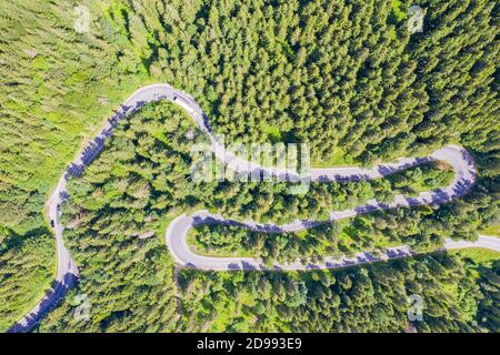 Above view of curved road in pine tree forest, winding road from above Stock Photo