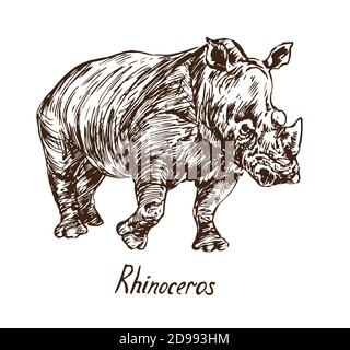 Rhinoceros isolated, outline simple doodle drawing in gravure style with inscription Stock Photo