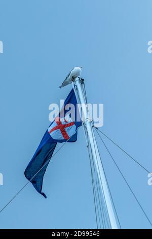 A Seagull on top of a yacht's mast Stock Photo - Alamy