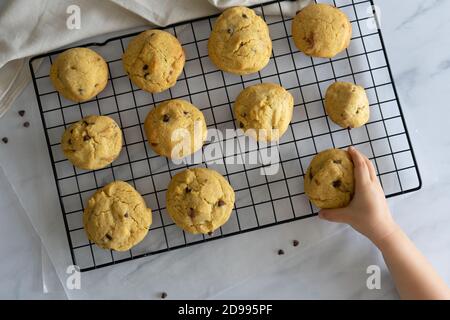 Kid's hand taking a chocolate chip cookie from a cooling rack. Stock Photo