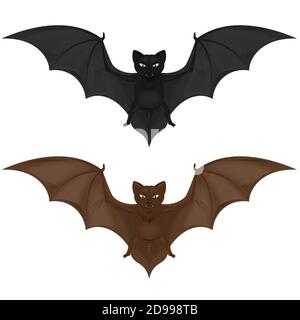 Vector design of two flying mammals, bat in two colors. All on white background. Stock Vector