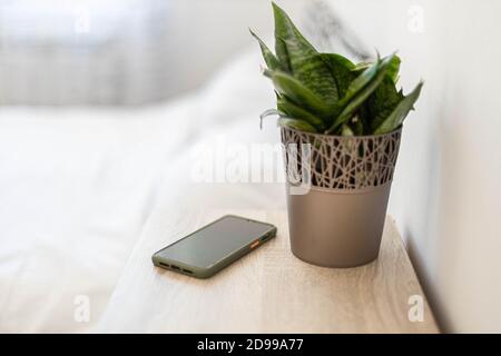 Black smartphone on the nightstand. Green plant in a flower pot on the table in the bedroom against the background of the bed. Stylish minimalist photo. Stock Photo