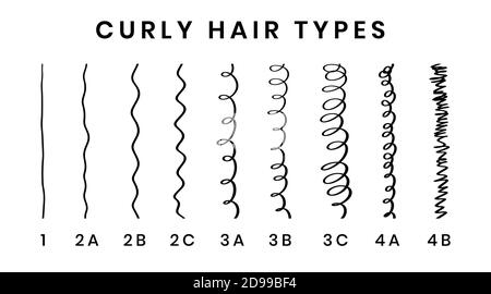Free Straight Hair Type Chart  Illustrator PDF  Templatenet