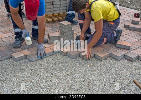 Master lay and install floor bricks on a public surface. The base is small stone and they fit concrete decorative pieces of brick. Stock Photo