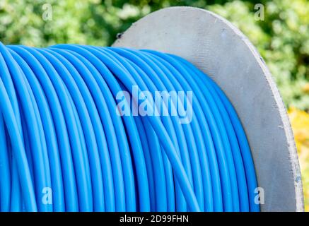 Cable drum with blue network cord Stock Photo