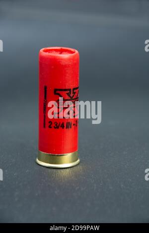 A 12 gauge shotgun shell against a grey background. Stock Photo