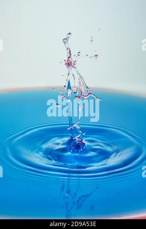 Abstract background of splash of color water, collision of colored drops, the concept art with abstract effect. Stock Photo