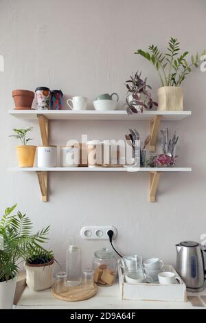 Plants and kitchenware in kitchen Stock Photo