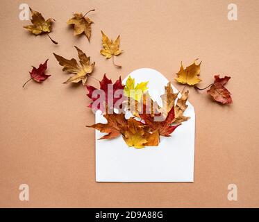Autumn composition. Envelope with dried leaves on pastel brown background. Autumn, fall concept. Flat lay, top view. Stock Photo