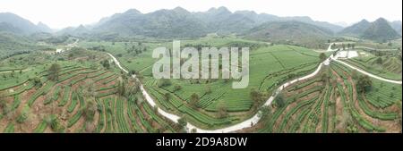 Yingde. 3rd Nov, 2020. Aerial photo taken on Nov. 3, 2020 shows a tea plantation in Yingde City, south China's Guangdong Province. Yingde City, located at the northern mountainous area of Guangdong Province, is famous for its black tea plantation. Credit: Deng Hua/Xinhua/Alamy Live News Stock Photo