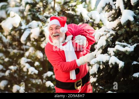 Santa Claus on Christmas Eve is carrying presents to children in a bag on fir snowy branch background. Stock Photo