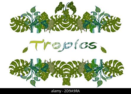Frame template with green, beautiful tropical leaves. Stock Vector