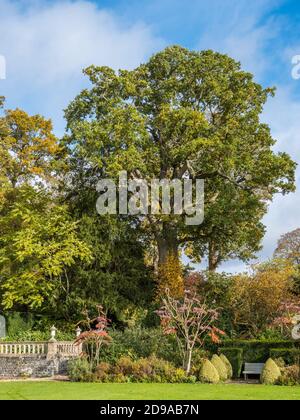 Garden Terrace and Railings, Balustrades, Englefield House Gardens, Englefield House, Englefield, Berkshire, England, UK, GB. Stock Photo