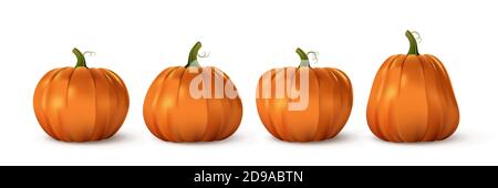 Halloween orange pumpkin set. Isolated traditional realistic food. October holiday decoration vector illustration. Autumn spooky decor for fun and Stock Vector