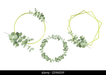 Set of frames with eucalyptus. Vector i Stock Vector