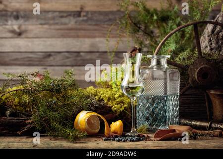 Gin in a small glass and lemon. Anise, coriander, and juniper berries are scattered on a wooden table. In the background branches of juniper, old tree Stock Photo